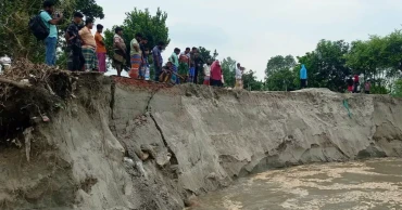 Jamuna erosion intensifies in Sirajganj; rising river waters devour homes, cropland