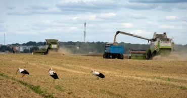Russia pulls out of Black Sea grain deal at time of growing hunger