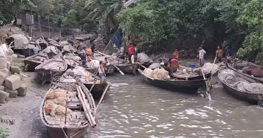 Fishing ban ends tonight: Chandpur fishermen ready to hit rivers