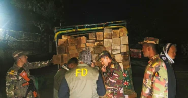 Army seizes illegal timber in Khagrachhari