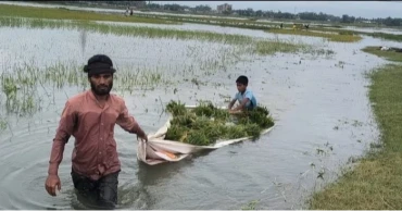 NCP demands emergency govt support for flood-affected farmers