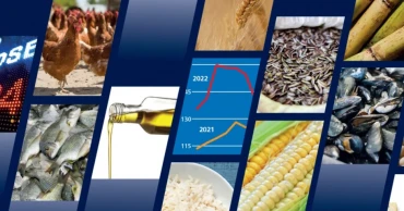 Global food import costs near record $2 trillion, hurting poorest