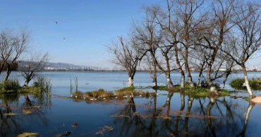 Forum on global ecological development held in southwest China
