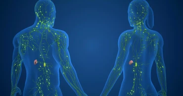 More than 1,000 genetic switches may explain sex differences in immunity