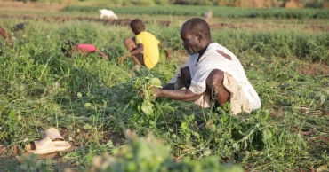 Sudan's famine risk worsens amid conflict, drought and funding shortages: report
