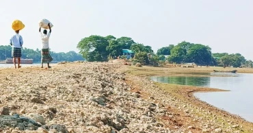 Ballooning number of crop protection dams in Sunamganj haor region raises concern