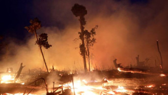 Amazon fires: Seven countries sign forest protection pact