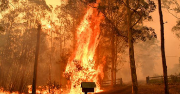 Hazardous bushfire smoke prompts call for climate action in Sydney