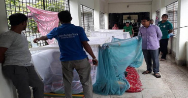 3 dengue patients hospitalised in 24 hrs