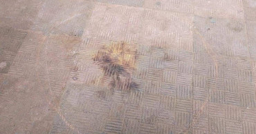 Crude bomb explodes on DU campus again; one injured