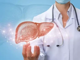 Scientists grow bioengineered mini human livers to study therapies