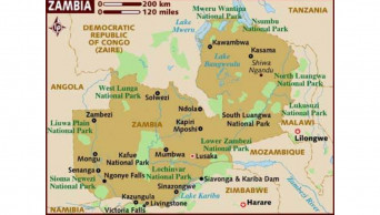 Zambia denies reports of selling telecommunications firm