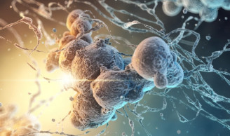 Chinese scientists develop tumor-specific anti-cancer therapy