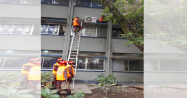 Firefighters rescue cat from Jashore hospital