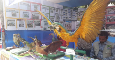 Daylong bird fair held on JU campus