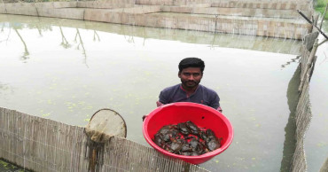 Crab farmers, exporters feel the pinch of coronavirus fallout