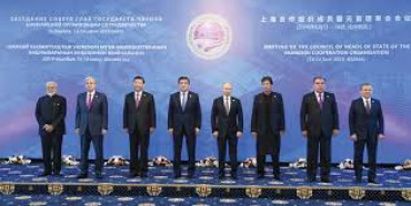 Industrial synergising -- new trend of co-operation between Chinese, Indian companies