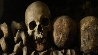 How modern life is transforming the human