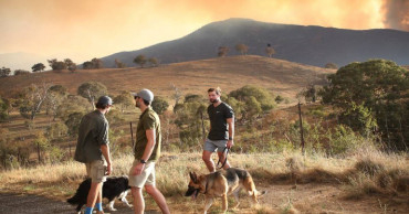 Wildfire threatens homes on Australian capital's outskirts