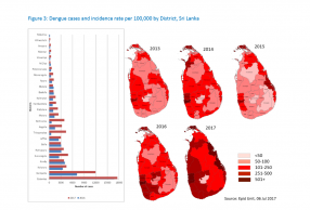 74 people die of dengue in Sri Lanka