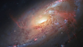 Hawaii or Spain? Telescope experts say it may not matter