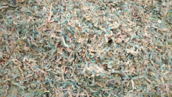 BB dumps huge obsolete notes in Bogura