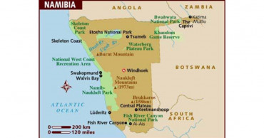 Namibia records 51 poaching cases this year