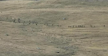 Armenia, Azerbaijan accuse each other of new rounds of shelling