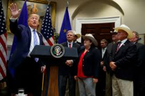 Trump says new agreement with EU will boost beef exports