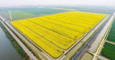 Researchers develop new method to improve saline-sodic land