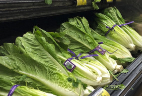 Health officials disclose another romaine outbreak, now over