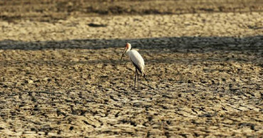 UN says current decade heading for new temperature record