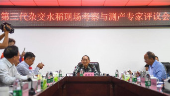 Third-generation hybrid rice achieves high yields in China