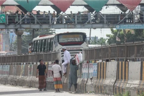 Risking Lives to Cross the Highway