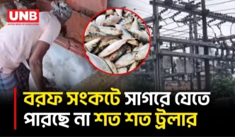 ইলিশের ভরা মৌসুমেও ঘাটে শত শত ট্রলার, ১৫০ টাকার বরফ ৩০০ টাকা | Patuakhali | Ice Crisis | BD | UNB