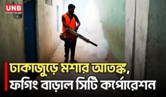 রাজধানীতে মশার উপদ্রব বেড়ে যাওয়ায় ফগিং কার্যক্রম বাড়াল সিটি কর্পোরেশন | Mosquito Control | UNB