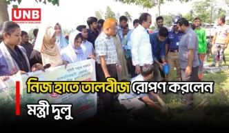 বজ্রপাতের ঝুঁকি কমানোর লক্ষ্যে লালমনিরহাটে লক্ষাধিক তালবীজ রোপণ শুরু করলেন মন্ত্রী দুলু | UNB