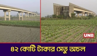মানিকগঞ্জে ৪২ কোটি টাকার সেতু ৩ বছর অচল; সংযোগ সড়ক না থাকায় দুর্ভোগে ৩০ গ্রাম | Manikganj | UNB