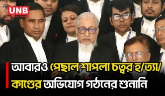 শাপলা চত্বর হ/ত্যা/কাণ্ড মামলায় অভিযোগ গঠনের শুনানি ১ নভেম্বর | Shapla Chattar Case | UNB
