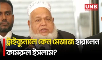আওয়ামী লীগ নেতাদের পরিচয় জানতে চাওয়ায় ট্রাইব্যুনালে মেজাজ হারালেন কামরুল ইসলাম | Kamrul Islam | UNB