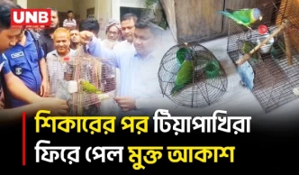 শিবগঞ্জে টিয়া পাখি শিকারের দায়ে যুবক আটক, জরিমানা ও পাখি অবমুক্ত | Birds Hunting | UNB