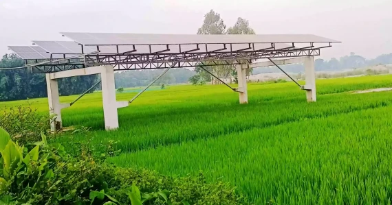 Bangladesh farmers cut costs with solar irrigation, save 7.5m litres of diesel