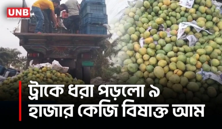 সাতক্ষীরায় কেমিক্যাল দিয়ে পাকানো ৯ হাজার কেজি আম জব্দ | Satkhira Poisionous Mango | UNB