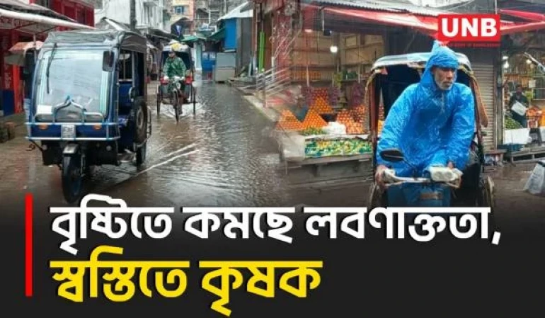 বাগেরহাটে টানা বৃষ্টি কৃষকদের জন্য বড় আশীর্বাদ | Continuous Rains | Big Blessing | Farmers | UNB