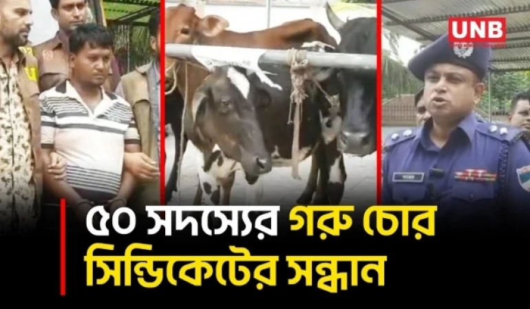 বাগেরহাটে আন্তঃজেলা গরু চোর সিন্ডিকেটের হোতাসহ ৩ আটক, ১১ গরু উদ্ধার | Bagerhat | Cow Theft | UNB