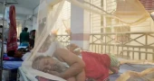 ডেঙ্গুতে ২৪ ঘণ্টায় ৯ মৃত্যু, হাসপাতালে ১,৯৫৪