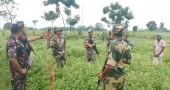 বিজিবির প্রতিরোধে দুই জেলার ৪ সীমান্ত পয়েন্ট থেকে ৬১ জনকে সরিয়ে নিল বিএসএফ