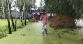 খুলেছে তিস্তা ব্যারাজের ৪৪টি গেট, নিম্নাঞ্চলে প্লাবন