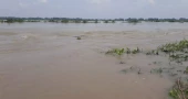 কুড়িগ্রামে তিস্তার পানি বাড়ছে, প্লাবিত হচ্ছে নিম্নাঞ্চল