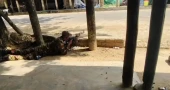 সাজেকে গোলাগুলি, ২,৯৩৩ পর্যটককে সরিয়ে নিল নিরাপত্তা বাহিনী